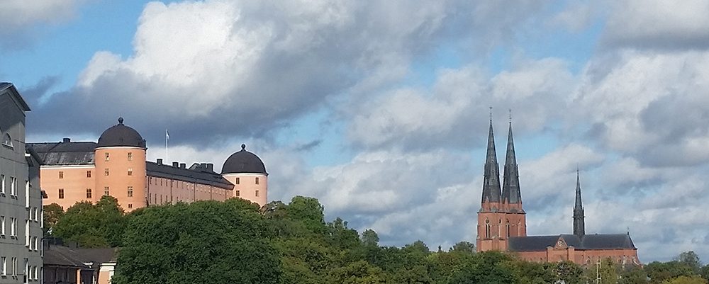Akademiska sjukhus, Uppsala slott, domkyrkan